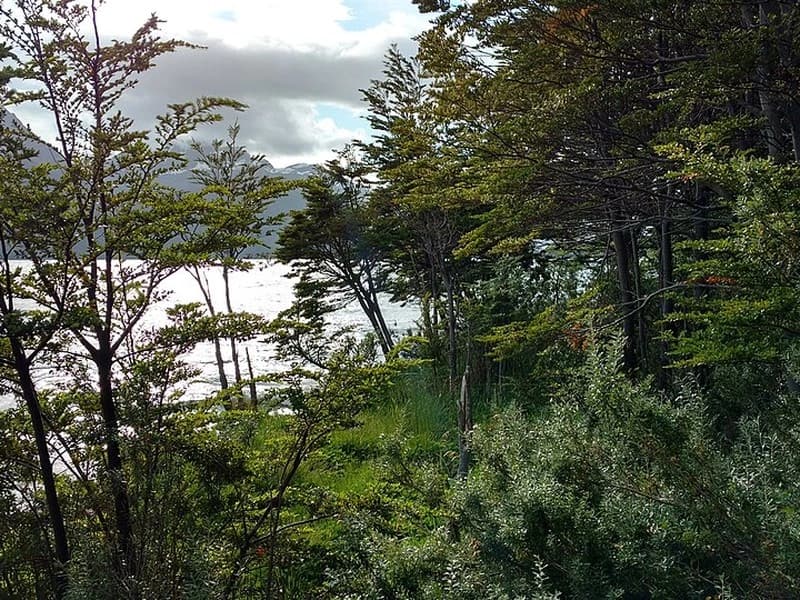 Yendegaia National Park - 3