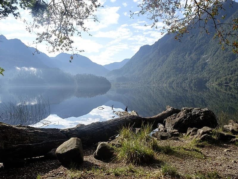 Ancient Forests & National Parks - 3