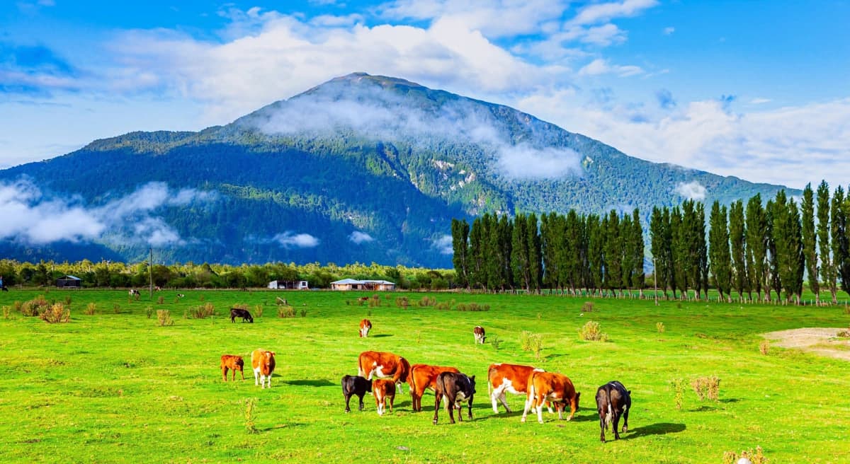 The Carretera Austral - 2