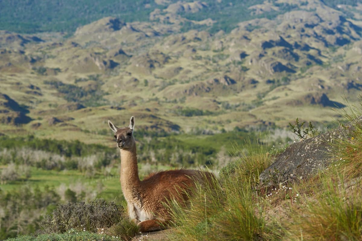 The Carretera Austral - 3